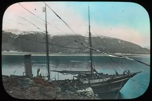 Image: S.S. Roosevelt at [Provision] Point